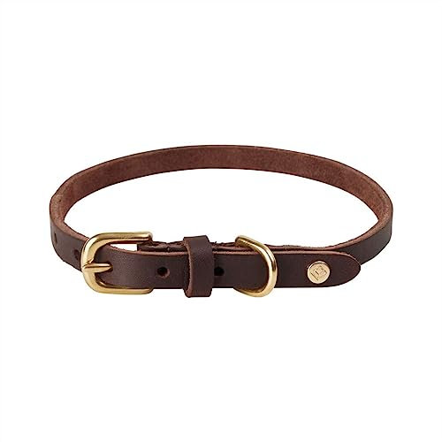 OYOY Zoo Z60029 Hundehalsband, Rotkehlchen, Größe L, Choko