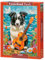 CASTORLAND 500 Teile Puzzles, Collie, Gitarre und das Meer, Tierpuzzle, Hund, Haustiere, Erwachsenenpuzzle, Castorland B-54008