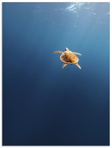 ARTland Wanddeko Glasbilder Wandbild Glas Bild 60x80 cm Natur Ozean Meer Tiefe Schildkröte Ruhe Minimalismus U5IS