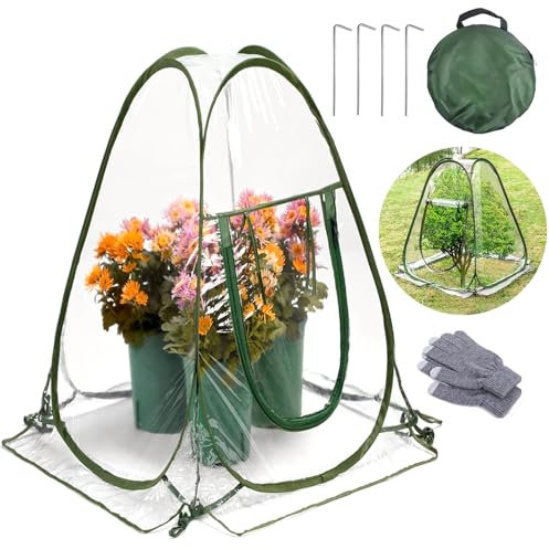Petite serre d'hivernage pour plantes, serre pop-up, tente de protection des plantes d'hiver, 70 x 70 x 80 cm, transparente, pas de montage nécessaire, serre d'hiver pour légumes et fleurs