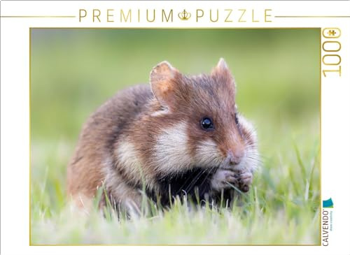 Puzzle · Feldhamster | Feldhamster knabbert · 1000 Teile · Lege-Größe 64 × 48 cm · CALVENDO Puzzle