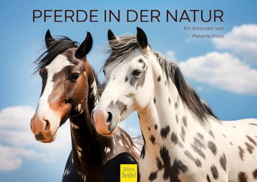 Edition Seidel Premium Kalender Pferde in der Natur 2026 Format DIN A4 Wandkalender Pferdekalender Pferd Tiere Fohlen Stute Hengst Pony Melanie Viola