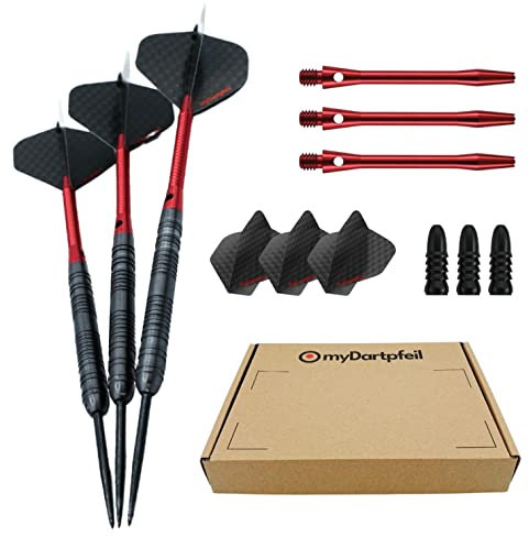 Dartpfeile mit Metallspitze für Dartscheibe | Profi Steel-Darts 23/25g/27g mit Stahl Spitze | Dart-Set mit Schäften und Darts Flights | Steel Dartpfeile und Darts Zubehör (25g)
