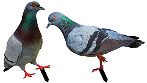 BESTonZON 2st Taubengarten Dekoration Taubenstatue Metall-hühnerhof-kunst Tierische Gartendekoration Taubengarten Zeichen Gartenmarkierungen Tags Taube Figur Rasen Acryl Miniatur Zubehör
