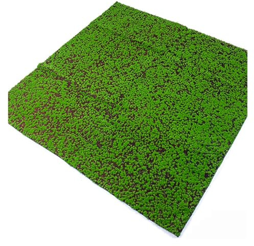LINGDSWULING All Suitable Orchid Potting Mix Soil Peat Sphagnum Pole Craft Arts Terrariums Fake Green Moss For Crafts Ecorative Artificial Decorative Indoor Indoor(B)