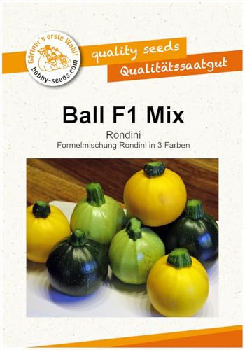 Kürbissamen Ball Mix F1 Zucchini Rondinimischung Portion