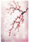 Pink Romance Valentinstag Kirschblüte 1-Gang-Lichtschalter-Abdeckung, kein entscheidender Blanko-Wandplatte, dekorativ für Badezimmer, Zuhause, Wohnzimmer, Schlafzimmer, Kunst-Panel, Dekoration
