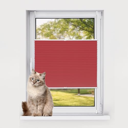Plissee 50 x 60 cm Rot Faltrollo für Wohnzimmer und Büro Einfache Montage Einfache Montage Alle Montageteile enthalten