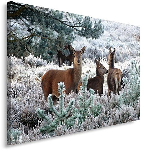 Feeby. Wandbild - 1 Teilig - 80x120 cm, Leinwand Bild Leinwandbilder Bilder Wandbilder Kunstdruck, REH, NATUR, BRAUN
