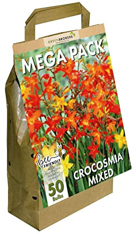 GreenBrokers Big Buy MEGA Pack Crocosmia Summer Flowering Bulbs, Mixed Colours (50 Bulbs) Bee & Butterfly Friendly