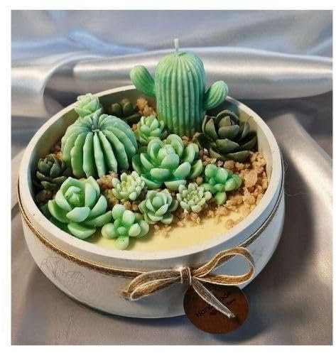 Deh.Ty Candles Ceramic Candle with Cactus, Soy Wax, Bush Bouquet Fragrance