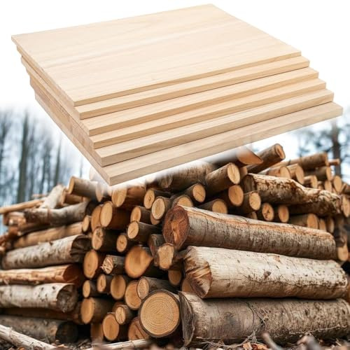 6 Stück Paulownia-Holzbrett Unlackierte Rechteckige Holzbretter Holzplatten Zum Basteln Unbehandelte Holzblöcke Blanko für Alle DIY Projekte/Holzschnitzerei/Malen/Modellbau/Hängeregal/Tischplatte