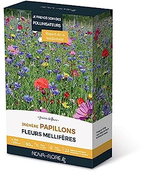 Novaflore - Prairies fleuries : Jachère papillons 100 à 200M2