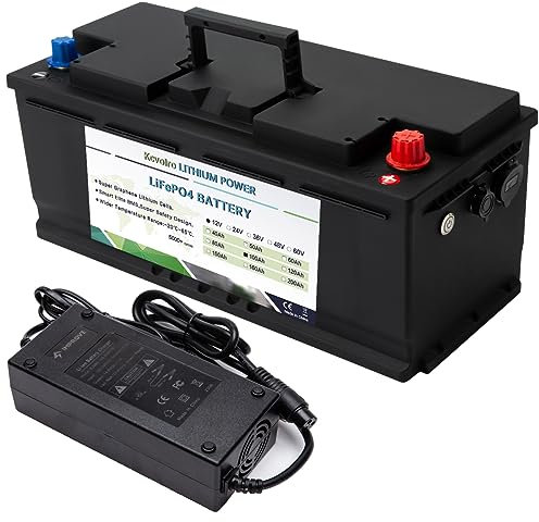 LiFePO4 Batterie 100Ah 12V 1280Wh Tiefenzyklus Lithium-Eisen-Phosphat-Batterie Eingebaute BMS-Schutz Aufladen und Entladen Hohe Leistung für Golfwagen EV RV Solarbatterie