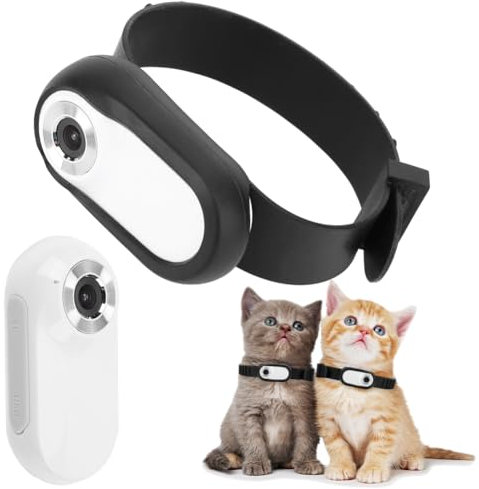 ASIEIT HD 1080P Cámara de Collar Inalámbrica No Necesita WiFi Perro Gato Cámara para Mascotas Collar Cámara Niñera Grabaciones de Video con Tarjeta 32G para Gatos Perros Regalo de Cumpleaños