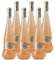 Côtes de Provence Cuvée Lampe de Méduse Rosé 2020 - Château Sainte-Roseline - Vin AOC Rosé de Provence - Alpes - Côtes d'Azur - Lot de 6x75cl - Cépages Cinsault, Grenache