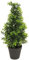mucplants künstlicher Buchsbaum im Topf Buchs Boxwood Orion Tapered grün Busch Kunstpflanze (45 cm)