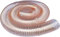 Abluftschlauch Lüftungsschlauch Trockner Schlauch Transparenter Staubsammlerschlauch Für Holzbearbeitung, Schleifmaschine Und Gehrungssäge, Schlauch Für Grow Tent/Wäschetrockner/ (220mm)