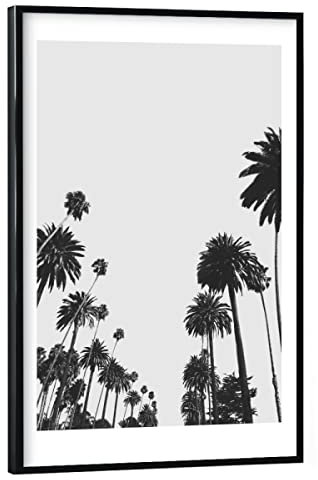artboxONE Poster mit schwarzem Rahmen 45x30 cm Schwarz-weiß Natur California Palm Trees - Bild Palm los Angeles Palm