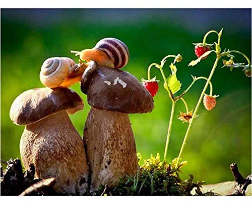 YDPTYANG Kinder Puzzle 1000 Stück Paar Schnecke Über Dem Pilz Erwachsene Hölzernes Puzzle Amateur Art Spiels Puzzle Creative Spielzeug Puzzles