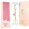 Geschenke für Frauen 24K Gold Vergoldete Rose Geburtstagsgeschenk für Frauen Ewige Rose Geschenke für Mama Mädchen Oma Geschenk Freundin Geburtstag Jahrestag Weihnachten Valentinstag Infinity Rosen