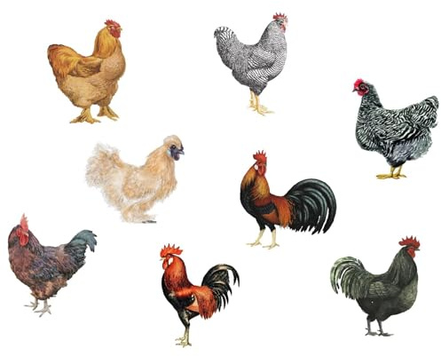 PLIGREAT 8 Pcs Farmhouse Rooster Hen Wall Decals, Removable Peel and Stick Vinyl Chicken Wall Stickers for Kitchen Pantry, Nursery, Playroom, Rustic Window & Fridge Door Decor