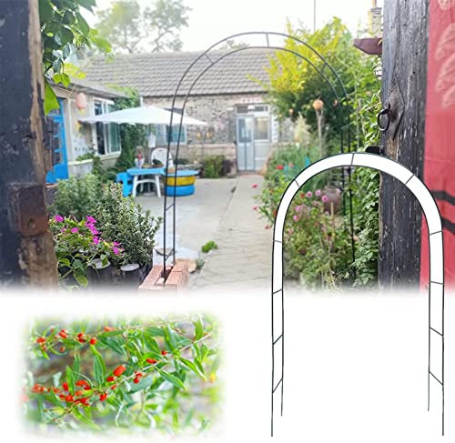 Arche Jardin Aluminium Largeur, Arche À Rosiers Métal, Filet À Plantes Grimpantes, Filet de Treillis, pour Récolte de Concombres, Légume, Vignes, Plantes Grimpantes,W1.2mxH2.2m