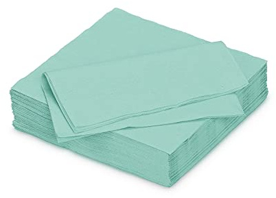 Servietten aus Papier 33x33cm 50 Stück - FARBAUSWAHL in 25x25/33x33/40x40cm - Einweg Tischservietten 2-lagig - Einfarbige Papierservietten für Hochzeit, Geburtstag und Alltag - Helltürkis