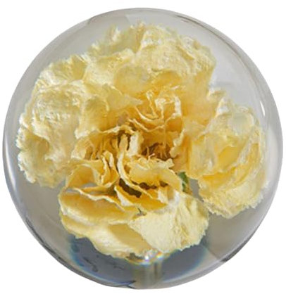 Kristallkugel, Kristallkugel Pusteblume, Briefbeschwerer, Traumkugel, Kunstharzkugeln, Ornamente, Statue mit Ständer, Pusteblumenkugel, Figur, einzigartige Kunstharzbox, Geschenke, Schreibtischdekor,