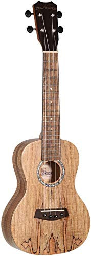 ISLANDER MAC-4 Riegelahorn Konzert Ukulele