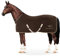 Equinate Abschwitzdecke Nevada aus Fleece mit Widerristpolster und Kreuzbegurtung 145cm Braun