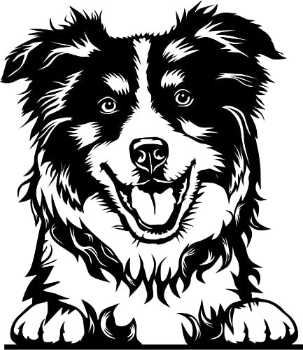 Autoaufkleber/Sticker/für Innen und Außen 28 cm schwarz Australian Shepherd 02
