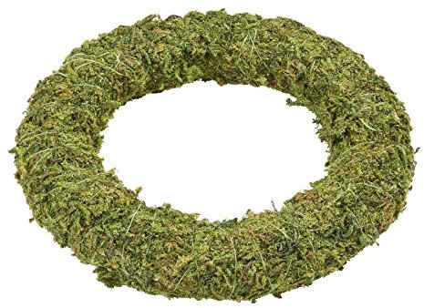 Hobbyfun Mini Musgo de Corona Aprox. 10 cm