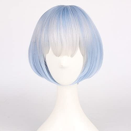 Wig Anime Cosplay Anime Re Zero Starting Life in Another World Perücken Rem Ram Cosplay Synthetische Perücke Haar Halloween Karneval Party Frauen Cosplay Perücke Rem