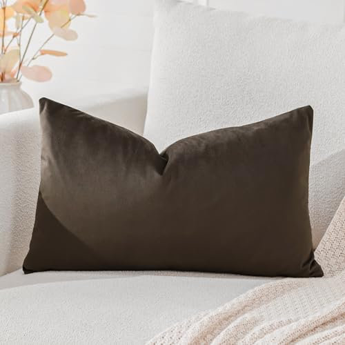 Artscope Samt Kissenbezug Kissenhülle Dekorative Dekokissen Sofakissen Lendenkissen Wurfkissenbezug Sofa Schlafzimmer 40x60cm Schokoladenbraun