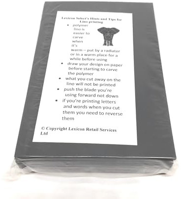 Lexicon Select Lot de 10 blocs d'impression Lino double face - Polymère souple - 100 x 150 mm - Plaques faciles à découper pour timbres et blocs
