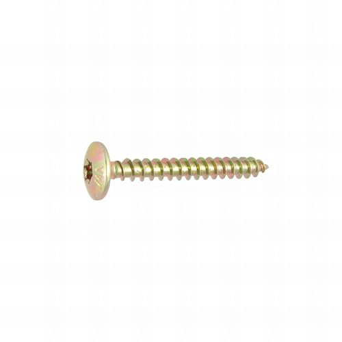 80 Vis Penture Torx Ac Bch 6.0 X 30