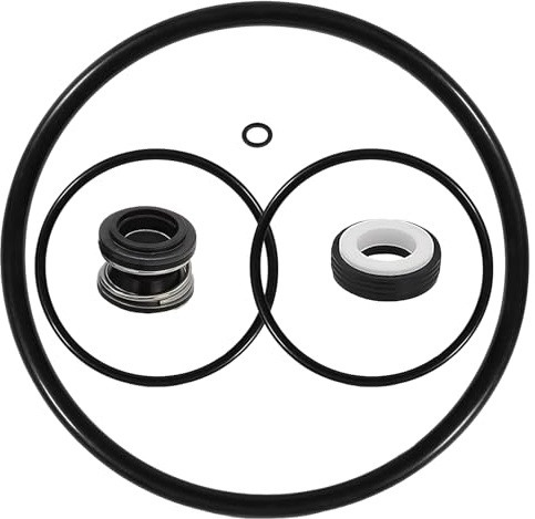 GnDaYoug PS-200 5/8 Zoll Wellendichtring & O-Ring Umbau-Kit für AquaFlo Flo-Master XP2 XP2E PS-200 Serie Poolpumpen - Inklusive Volute O-Ring, Pumpendichtung & Ablassschraube O-Ring