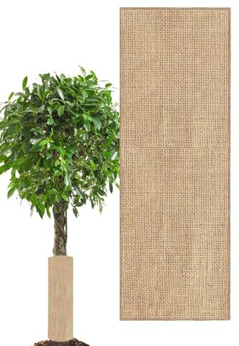 Stronrive Frostschutz-Abdeckungen für Außenpflanzen - Atmungsaktive Decke,Natürliche Jute Winter Pflanzenabdecktüten,Für Obstbäume Beerensträucher Sträucher Terrasse Gewächshaus Und Gartenarbeit Bei