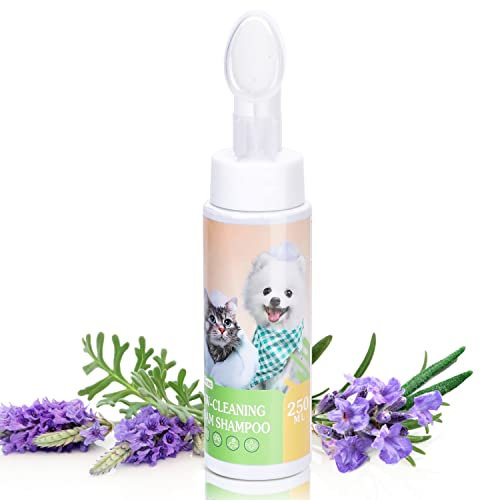 Nobleza Trocken-Schaum-Shampoo für Hunde und Katzen und Kaninchen,Nach dem Spaziergang mit dem Hund, Vor dem Zubettgehen,Shampoo für Kätzchen und Welpen,Lavendelduft 250 ml