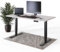 DESKSPACE PRO Plus Elektrisch höhenverstellbarer Schreibtisch | Ergonomischer Stehpult mit Memoryfunktion, & Kollisionschutz (Schwarzes Gestell, Weiße Tischplatte, 160 x 80 cm)