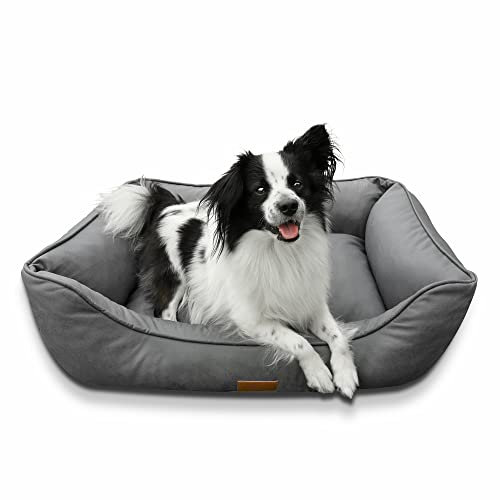 your GEAR Belluno 60x80 cm orthopädisches Hundebett, Hundekorb, Oeko-TEX, waschbar, geruchsfrei & hygienisch