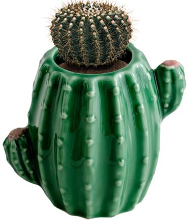 Decorazione per vaso di cactus – Grande decorazione per vaso da pavimento | vaso da fiori decorativo, fioriera in ceramica vintage, composizioni floreali, vaso da tavolo, decorazione di cactus