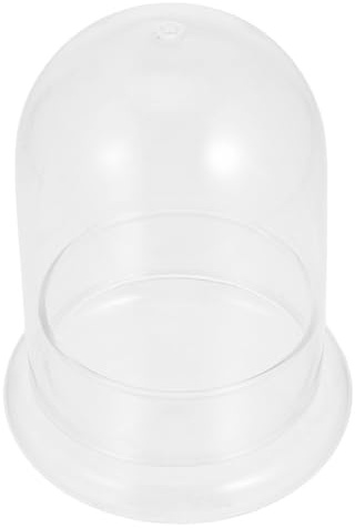 TOPPERFUN Bouteille en Verre pour Terrarium Mousse Naturelle, Surface Lisse et Résistance Corrosion, pour Chambre ou Salon Décor Chaleureux