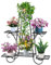 CarolynDesign Soporte de planta de 6 niveles para interiores y exteriores, estante para macetas para múltiples plantas, soporte de planta de metal blanco para patio