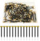 Picture Pins Nails, 100pcs Picture Hanging Nails for Wall Pins Brass Head Frame Nail Hook Pin for Hanging Pictures Photo Frame