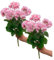 FOERPL Künstliche Geranien, Kunstgeranien, Seide, Rosa, UV-beständig, für Gartenpflanzen, Busch, Heimdekoration, 2 Stück