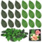 200 Pièces Réutilisable Fausses Feuilles Vertes, Simulation de Feuilles Vertes Unique,Florales Fausses Feuilles de Rose, pour Décoration de Maison, Bricolage, Bouquets de Mariage, Décorations de Fête