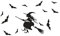 Karneval-Party-Szene Layout Fledermäuse Hema Fenster Aufkleber Glas tapete Wohnraum Wandtattoo Sprüche Teenager Mädchen (B, One Size)