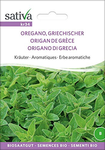 Sativa Rheinau kr34 Griechischer Oregano (Bio-Oreganosamen)